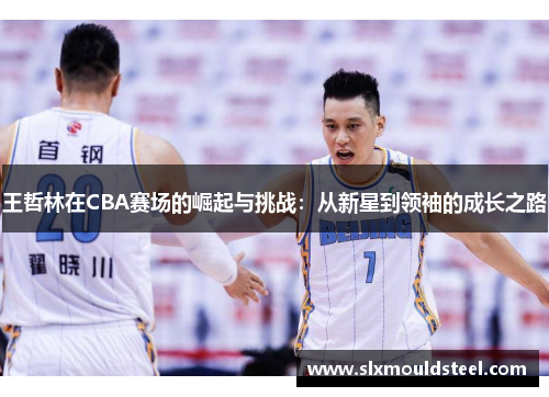 王哲林在CBA赛场的崛起与挑战：从新星到领袖的成长之路